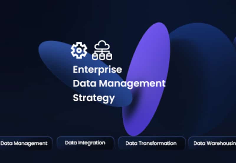 The-Enterprise-Data-Management-Strategy-Guide--Data-Sleek-LatestArticle-Standard-center