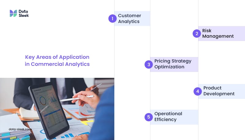 What Are the Key Areas of Application in Commercial Analytics?