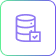 icon Data Management